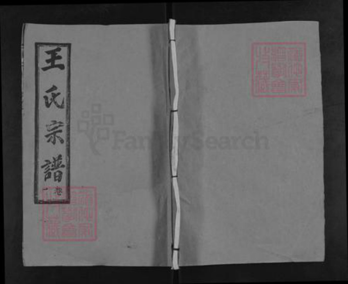 湖北省武汉市新洲区王氏三槐堂族谱-王氏宗谱.pdf电子版插图