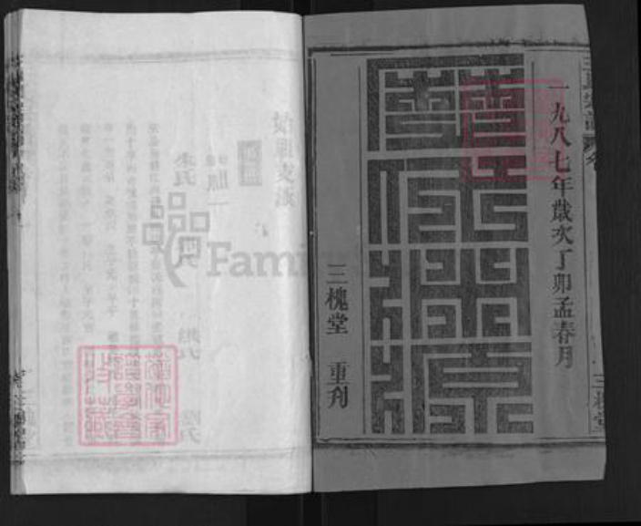湖北省武汉市新洲区王氏三槐堂族谱-王氏宗谱.pdf电子版插图1