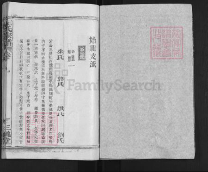 湖北省武汉市新洲区王氏三槐堂族谱-王氏宗谱.pdf电子版插图2