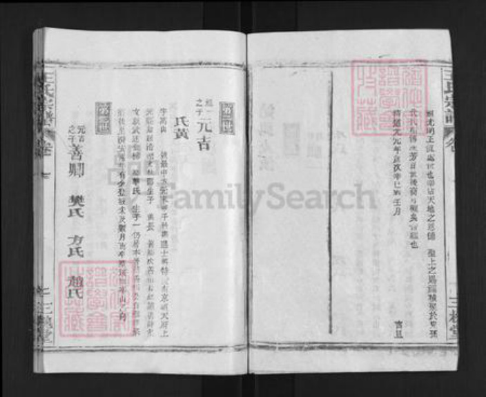 湖北省武汉市新洲区王氏三槐堂族谱-王氏宗谱.pdf电子版插图3