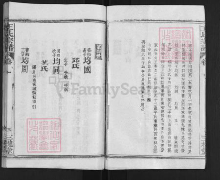 湖北省武汉市新洲区王氏三槐堂族谱-王氏宗谱.pdf电子版插图4