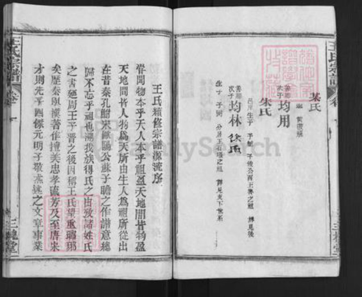 湖北省武汉市新洲区王氏三槐堂族谱-王氏宗谱.pdf电子版插图5