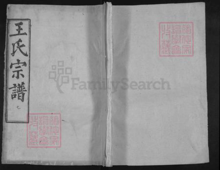 湖北省武汉市新洲区王氏三槐堂族谱-王氏宗谱.pdf电子版插图