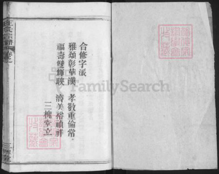 湖北省武汉市新洲区王氏三槐堂族谱-王氏宗谱.pdf电子版插图1