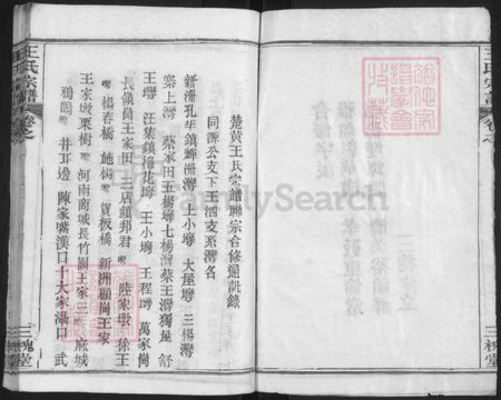 湖北省武汉市新洲区王氏三槐堂族谱-王氏宗谱.pdf电子版插图2