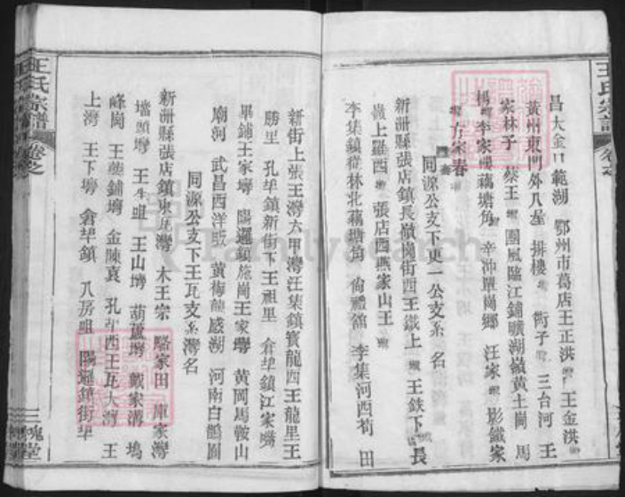 湖北省武汉市新洲区王氏三槐堂族谱-王氏宗谱.pdf电子版插图3