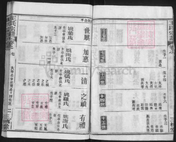 湖北省武汉市新洲区王氏三槐堂族谱-王氏宗谱.pdf电子版插图5