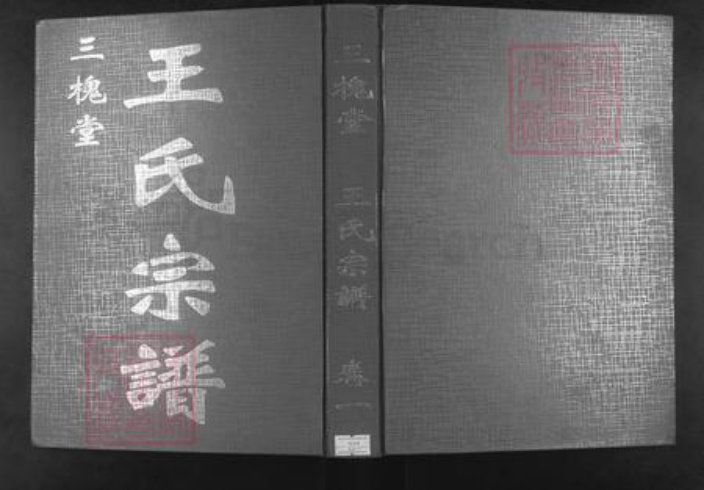 湖北省黄冈市王氏三槐堂族谱-王氏宗谱.pdf电子版插图