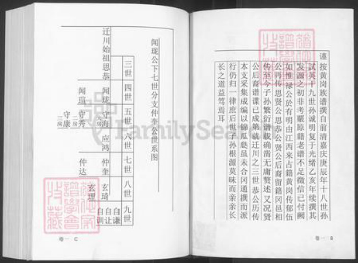 湖北省黄冈市王氏三槐堂族谱-王氏宗谱.pdf电子版插图2