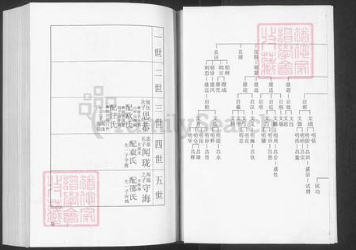 湖北省黄冈市王氏三槐堂族谱-王氏宗谱.pdf电子版插图4