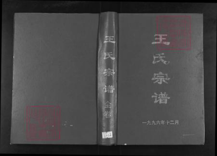 河南省信阳市光山县文殊乡王氏三槐堂族谱-王氏宗谱.pdf电子版插图