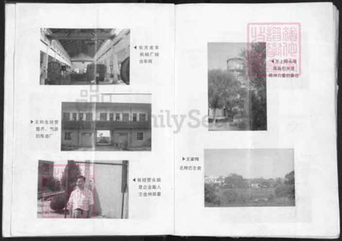 河南省信阳市光山县文殊乡王氏三槐堂族谱-王氏宗谱.pdf电子版插图5