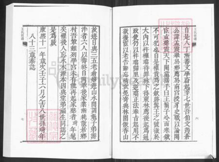 山东省淄博市淄川区王氏族谱-淄川石门王氏世谱.pdf电子版插图4
