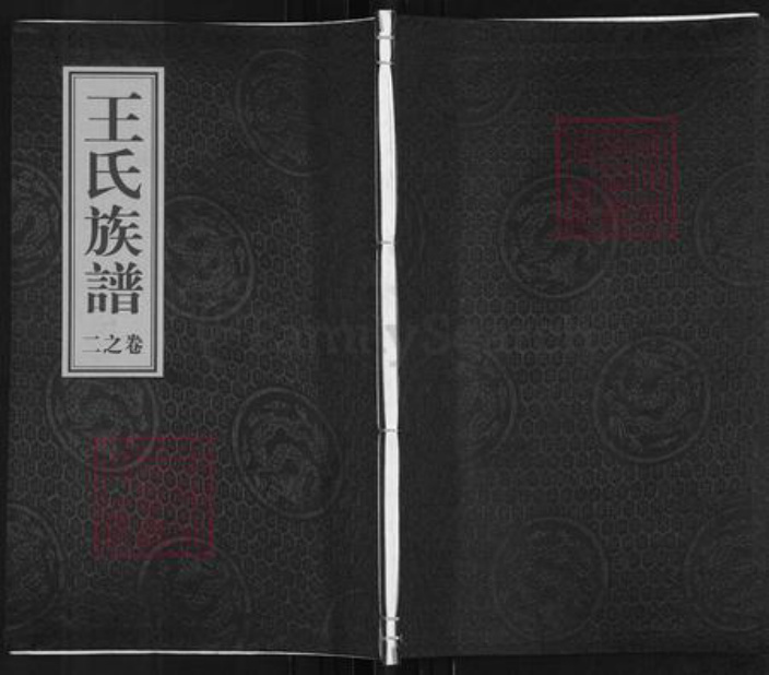 江苏省泰州市泰兴市王氏族谱-王氏族谱.pdf电子版插图 江苏省泰州市泰兴市王氏族谱-王氏族谱.pdf电子版插图