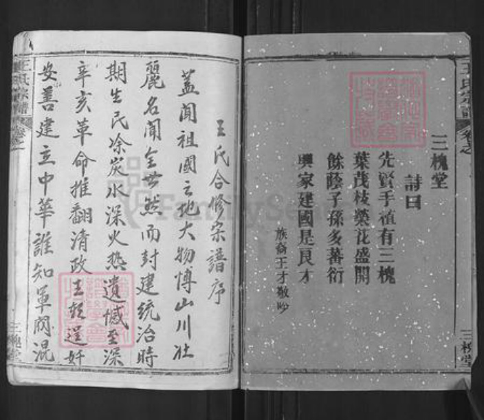 湖北省武汉市新洲区王氏三槐堂族谱-王氏宗谱.pdf电子版插图2 湖北省武汉市新洲区王氏三槐堂族谱-王氏宗谱.pdf电子版插图2