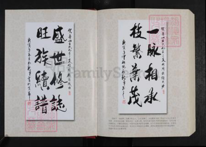 山东省潍坊市安丘市王氏族谱-寿山王氏宗谱.九世三支谱.pdf电子版插图5 山东省潍坊市安丘市王氏族谱-寿山王氏宗谱.九世三支谱.pdf电子版插图5