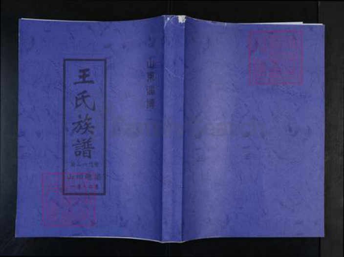 山东省淄博市博山区王氏敦本堂族谱-王氏族谱.苗山六门裔山头宗谱.pdf电子版