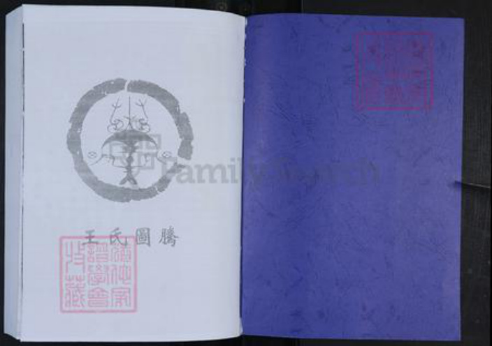 山东省淄博市博山区王氏敦本堂族谱-王氏族谱.苗山六门裔山头宗谱.pdf电子版插图1