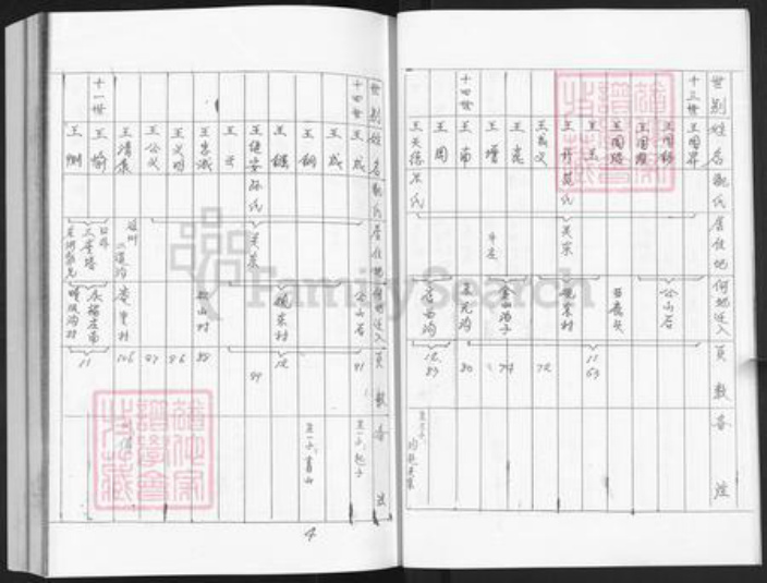 山东省烟台市栖霞市庄园街道王氏族谱-栖霞县观东村王氏家谱.pdf电子版插图4