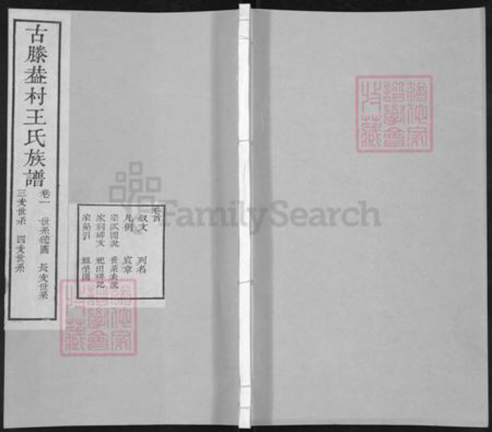 山东省枣庄市滕州市滨湖镇王氏族谱-古滕葢村王氏族谱.pdf电子版