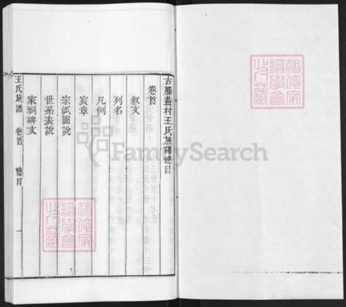 山东省枣庄市滕州市滨湖镇王氏族谱-古滕葢村王氏族谱.pdf电子版插图1