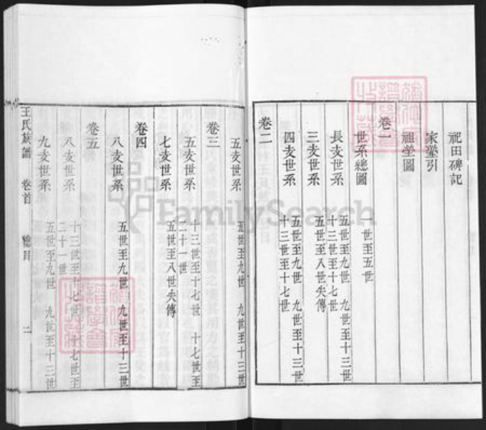 山东省枣庄市滕州市滨湖镇王氏族谱-古滕葢村王氏族谱.pdf电子版插图2