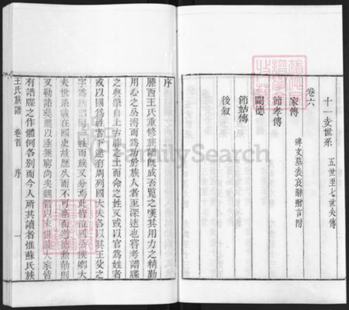 山东省枣庄市滕州市滨湖镇王氏族谱-古滕葢村王氏族谱.pdf电子版插图3