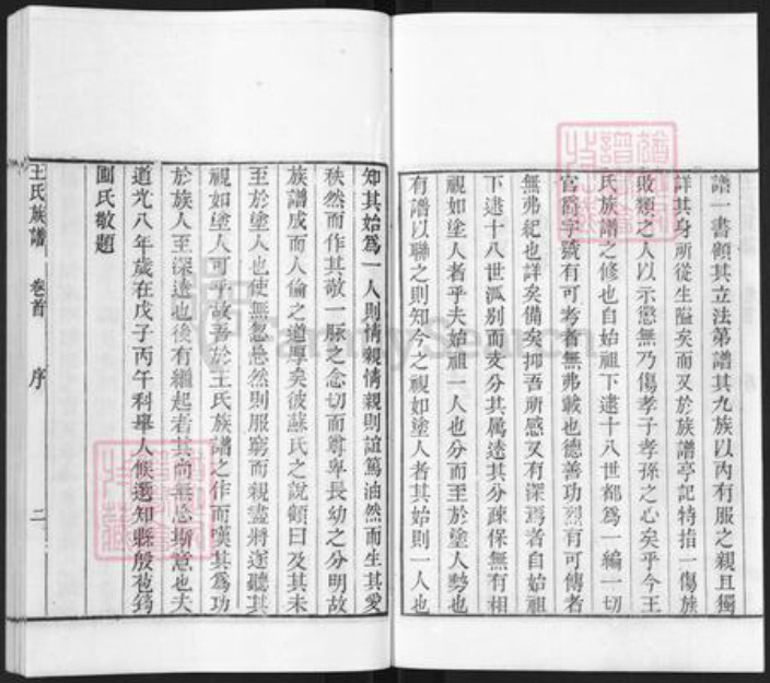 山东省枣庄市滕州市滨湖镇王氏族谱-古滕葢村王氏族谱.pdf电子版插图4