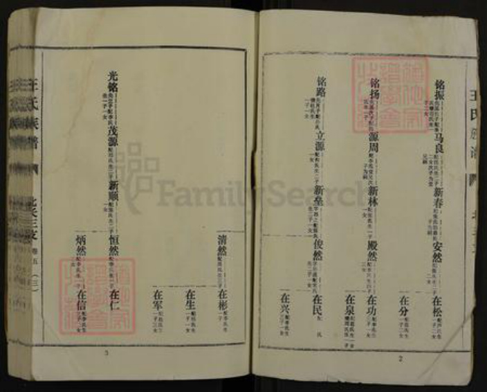 河南省商丘市夏邑县王集乡王氏三槐堂族谱-王氏族谱.pdf电子版插图2