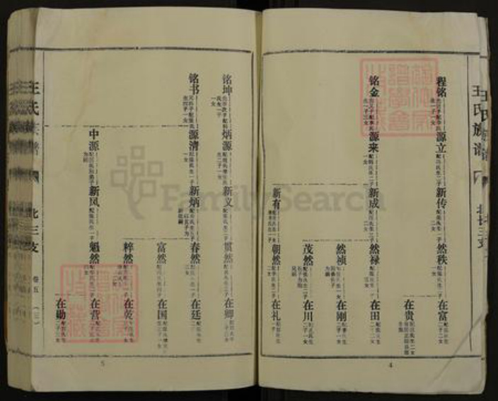 河南省商丘市夏邑县王集乡王氏三槐堂族谱-王氏族谱.pdf电子版插图3