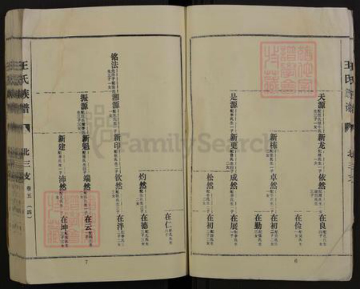 河南省商丘市夏邑县王集乡王氏三槐堂族谱-王氏族谱.pdf电子版插图4