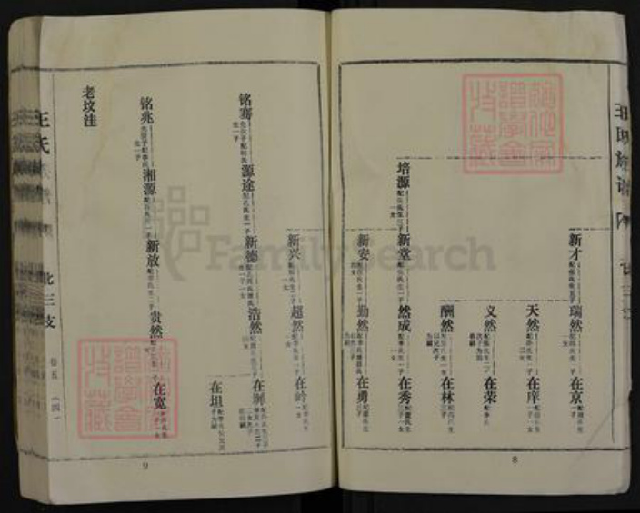 河南省商丘市夏邑县王集乡王氏三槐堂族谱-王氏族谱.pdf电子版插图5