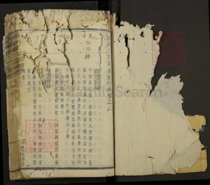 浙江省绍兴新昌县新昌王氏族谱-南屏王氏宗谱.pdf电子版插图1