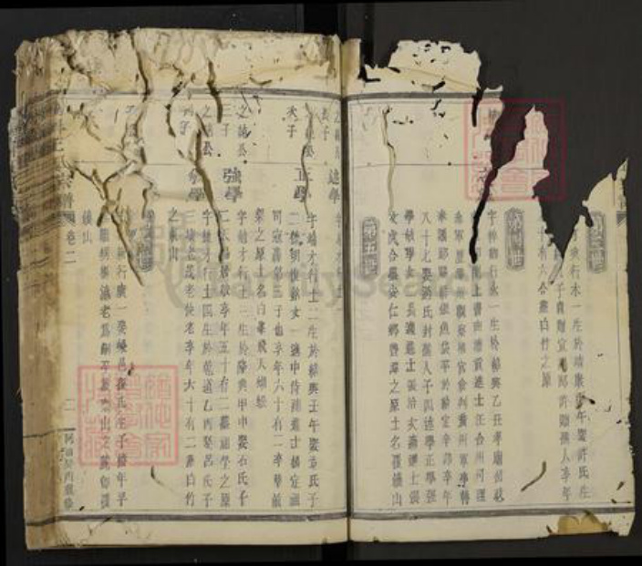 浙江省绍兴新昌县新昌王氏族谱-南屏王氏宗谱.pdf电子版插图2