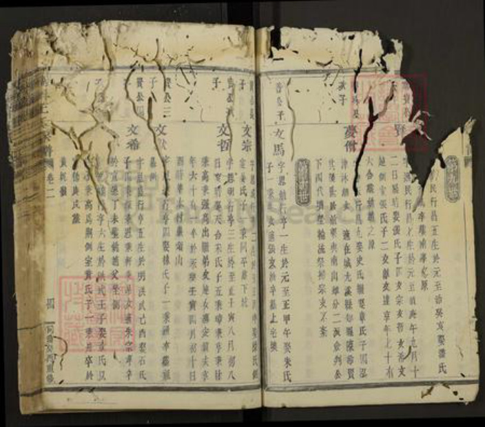 浙江省绍兴新昌县新昌王氏族谱-南屏王氏宗谱.pdf电子版插图4