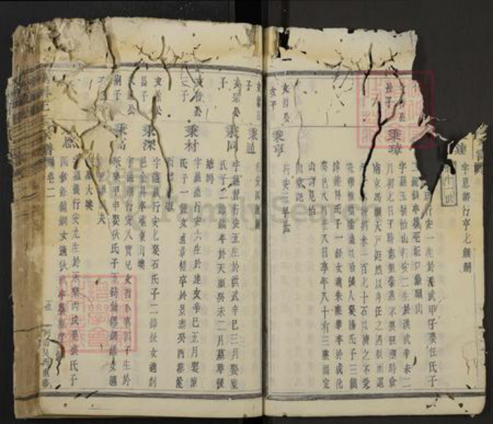 浙江省绍兴新昌县新昌王氏族谱-南屏王氏宗谱.pdf电子版插图5