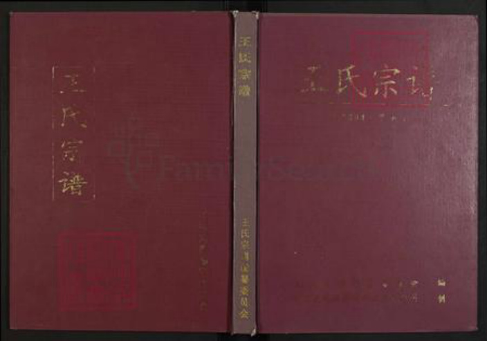 江西省鹰潭市贵溪市滨江镇王氏三槐堂族谱-王氏宗谱.pdf电子版插图