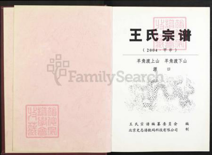 江西省鹰潭市贵溪市滨江镇王氏三槐堂族谱-王氏宗谱.pdf电子版插图2