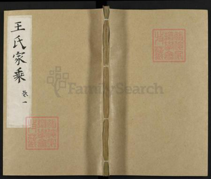 山东省德州市临邑县王氏族谱-王氏家乘.pdf电子版插图