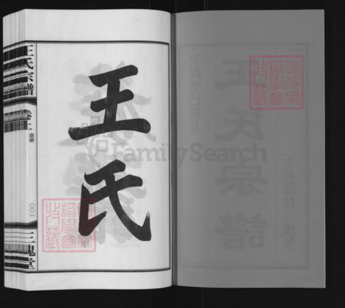 江苏省镇江市丹阳市曲阿街道王氏三槐堂族谱-丹阳下长段王氏宗谱.pdf电子版插图2