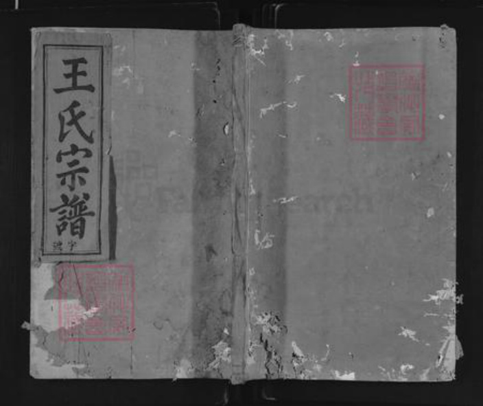江西省上饶市玉山县樟村镇王氏族谱-源口王氏宗谱.pdf电子版插图