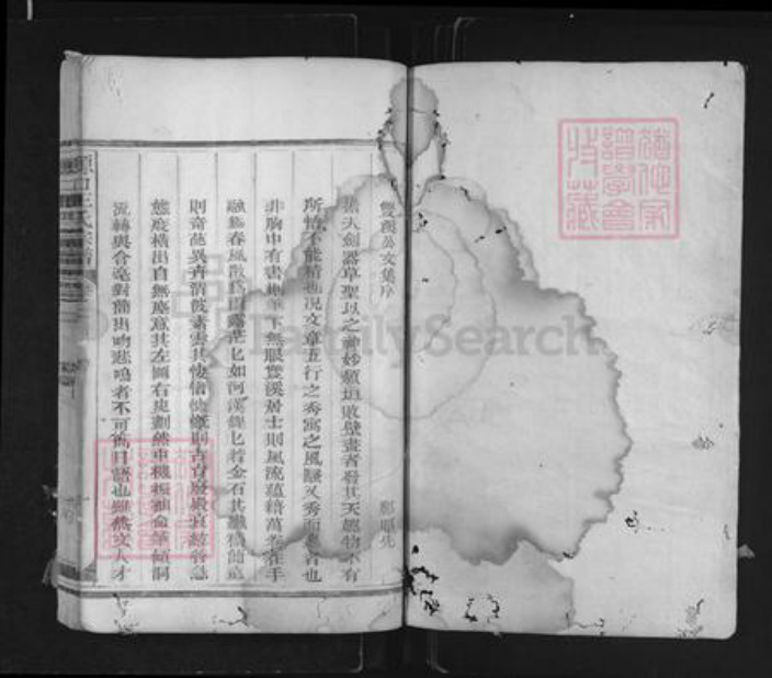 江西省上饶市玉山县樟村镇王氏族谱-源口王氏宗谱.pdf电子版插图1