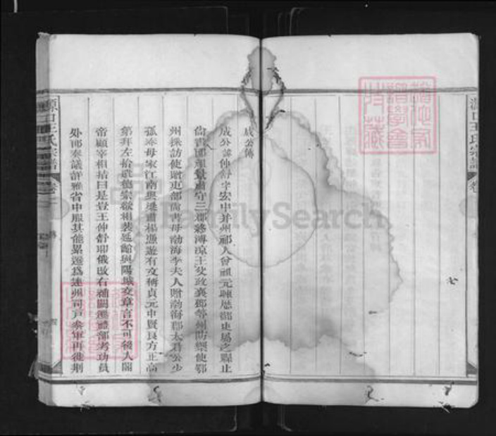 江西省上饶市玉山县樟村镇王氏族谱-源口王氏宗谱.pdf电子版插图4