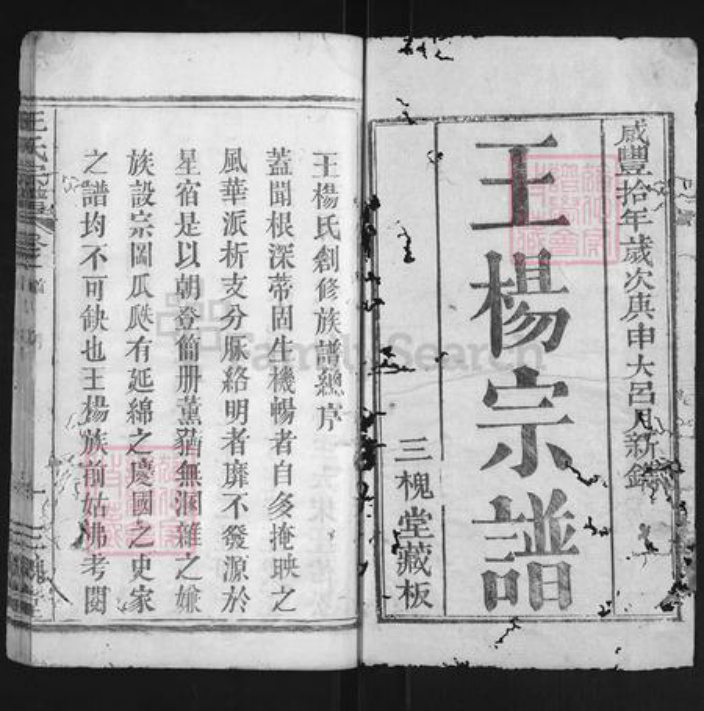 湖北省黄冈市团风县团风镇王氏三槐堂族谱-王杨宗谱.pdf电子版插图1