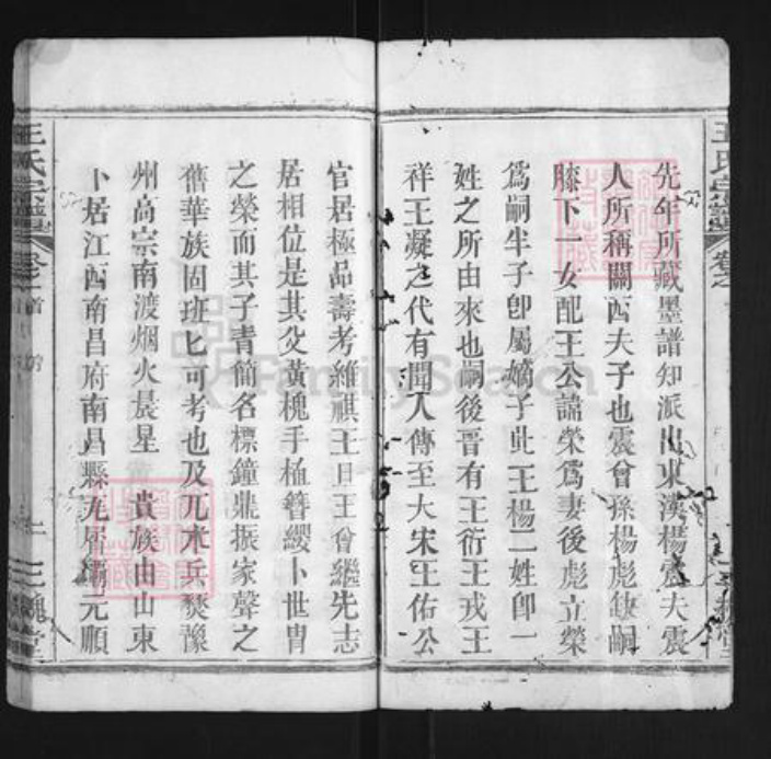 湖北省黄冈市团风县团风镇王氏三槐堂族谱-王杨宗谱.pdf电子版插图2
