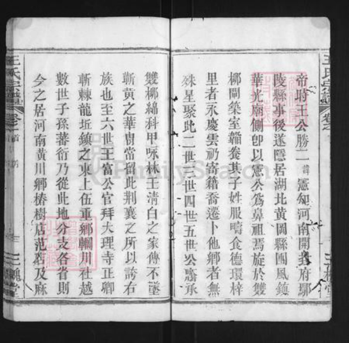 湖北省黄冈市团风县团风镇王氏三槐堂族谱-王杨宗谱.pdf电子版插图3