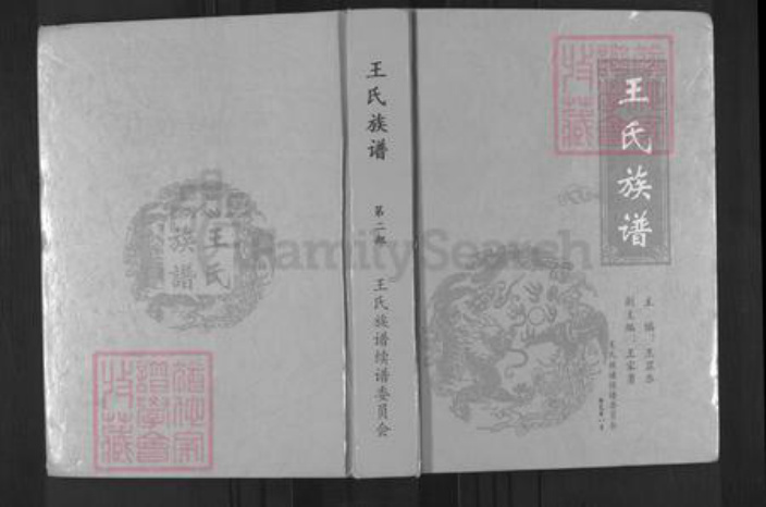四川省遂宁市安居区三家镇王氏族谱-王氏族谱.pdf电子版插图