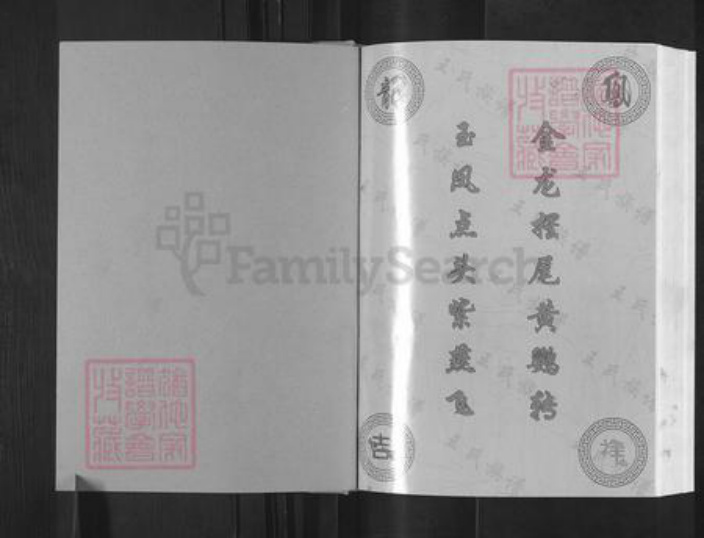 四川省遂宁市安居区三家镇王氏族谱-王氏族谱.pdf电子版插图1