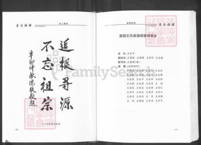 山东省泰安市新泰市王氏族谱-王氏族谱.pdf电子版插图5