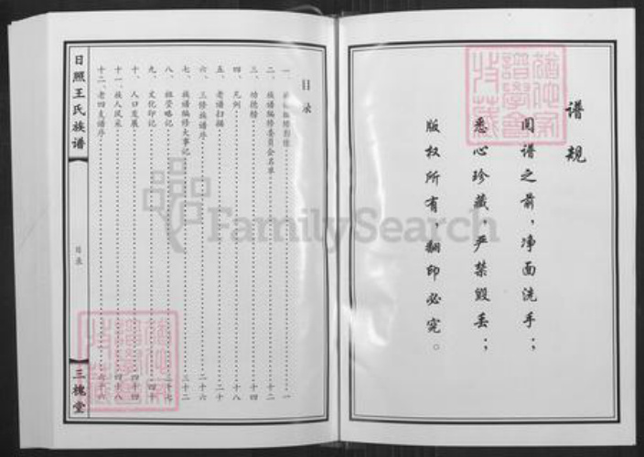 山东省日照市东港区王氏三槐堂族谱-日照王氏族谱.pdf电子版插图2
